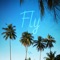 Fly - Apil lyrics