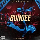 Bungee artwork