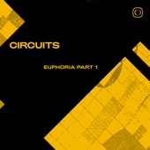 Circuits - Euphoria Part 1