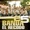 Banda El Recodo De Cruz Lizarraga - Pena Tras Pena (Album Version)
