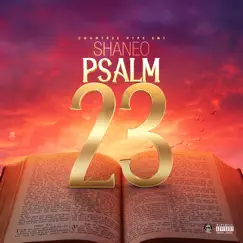 Psalms 23 Song Lyrics