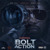 Bolt Action - Single