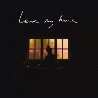 Leave My Home by FKJ song reviws