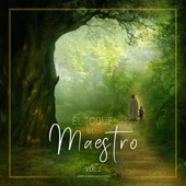 El Toque Del Maestro, Vol. 2 artwork