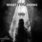 What You Doing (feat. HHBreez) - Steady Tek-Nick lyrics