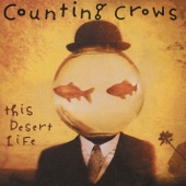 Counting Crows - Hangin Around