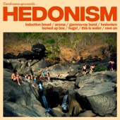 Hedonism artwork