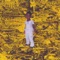 Seventy Seven (feat. Cameron Scott) - Alex Wondergem lyrics