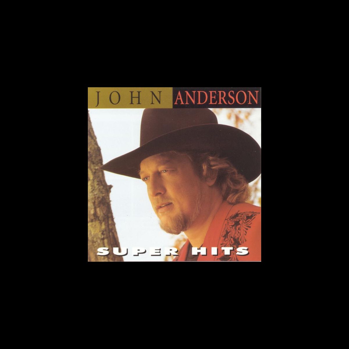 ‎Super Hits by John Anderson on Apple Music