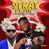 Stream & download Stray Pt. Few (feat. Teejay) - Single