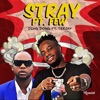 Stray Pt. Few (feat. Teejay) - Single