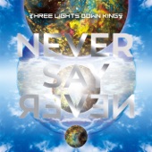 NEVER SAY NEVER artwork