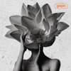 Gripin - Nilüfer