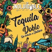 Tequila Doble Un Tributo A Jalisco artwork