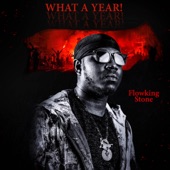 Flowking Stone - What a Year!