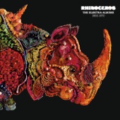 Rhinoceros - Apricot Brandy