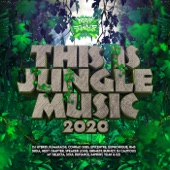 This Is Jungle Music 2020 artwork