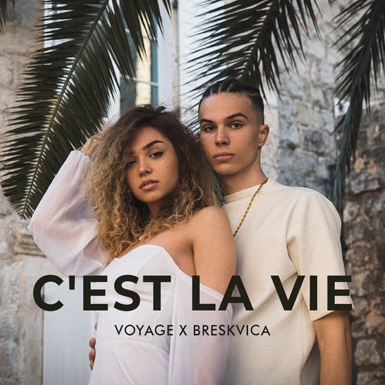 Cover artwork for C'est la vie