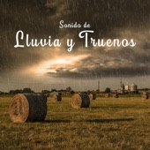 Sonido de Lluvia y Truenos artwork