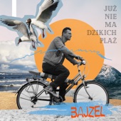 Już nie ma dzikich plaż artwork