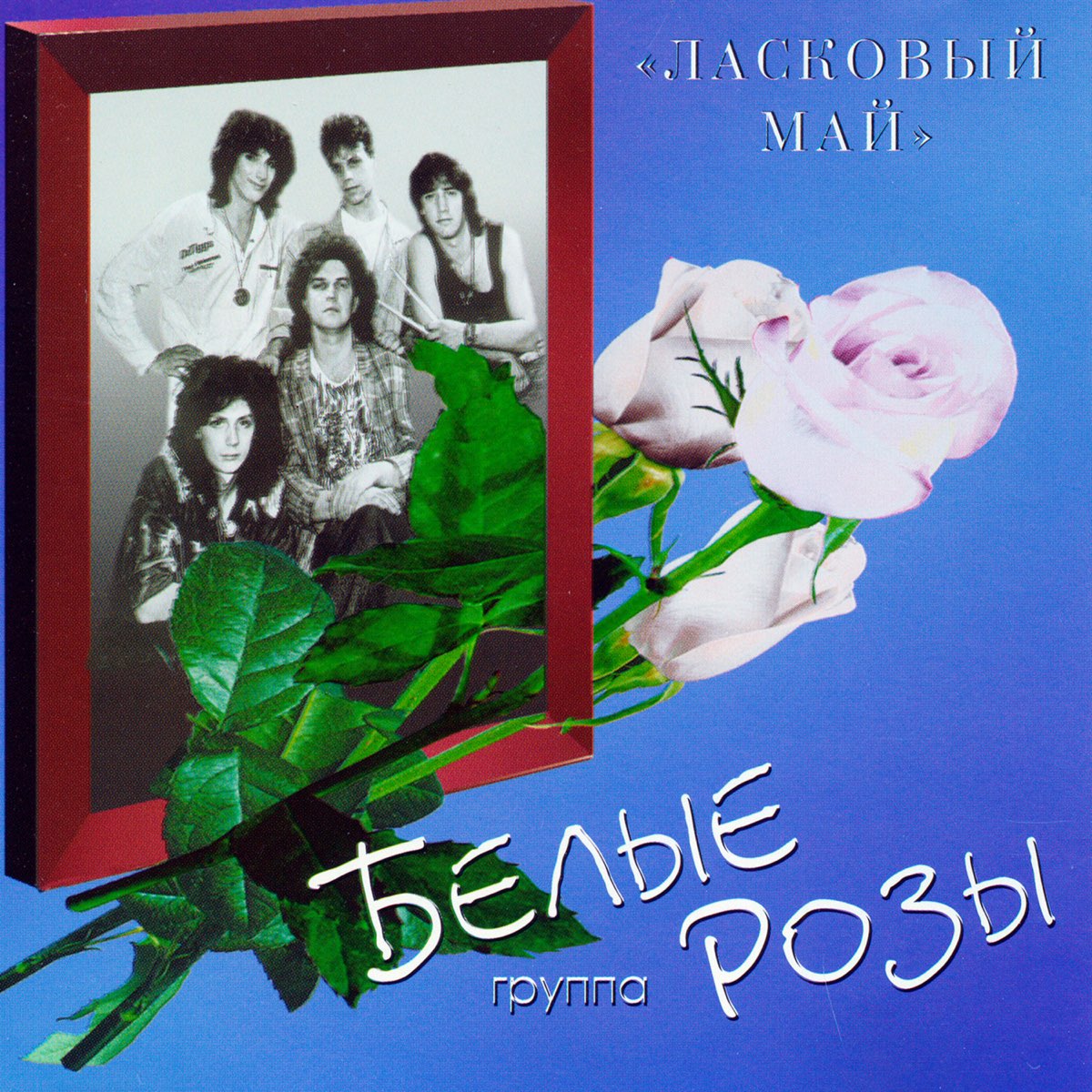 Ласковый май белые розы 1989. Группа белые розы - ласковый май 1989. Белые розы 1989 альбом.