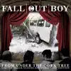 From Under the Cork Tree (Limited "Black Clouds and Underdogs" Edition) - EP album lyrics, reviews, download