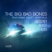 Emergency Vehicle Blues (feat. Scott Whitfield) artwork