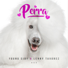 bajar descargar mp3 Perra - Young Eiby & Lenny Tavárez