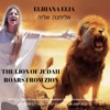 The Lion of Judah Roars from Zion