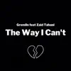 The Way I Can't (feat. Zaid Tabani) - Single album lyrics, reviews, download