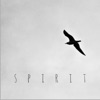 Spirit - Single