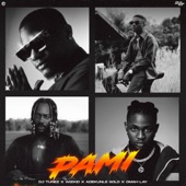 Pami (feat. Wizkid, Adekunle Gold & Omah Lay) artwork