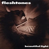 The Fleshtones - Take a Walk with the Fleshtones