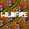 SBTRKT feat. Little Dragon - Wildfire