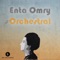 Enta Omry Intro (orchestral) artwork