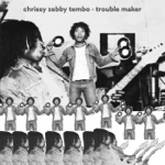 Chrissy Zebby Tembo - My Ancestors (feat. Ngozi Family)