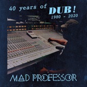 40 Years of Dub artwork