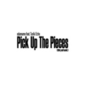 Pick Up The Pieces (OkyoFunk) [feat. Tariki Echo] artwork