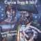 I'm a Singin' Pirate - Captain Bogg & Salty lyrics