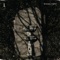 Distress Signal - Idle Lives lyrics