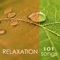 Serenity - Spa Music Relaxation Meditation lyrics