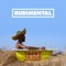 Do you remember (feat. Kevin Garrett) - Rudimental lyrics
