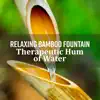 Relaxing Bamboo Fountain song lyrics