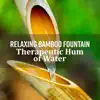 Stream & download Relaxing Bamboo Fountain