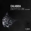 Stream & download Encrypted Link (Club Mix) - Single