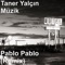 Pablo Pablo (Remix) artwork