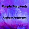 Purple Parakeets - Single album lyrics, reviews, download