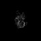 Fathom - Kyle Preston lyrics