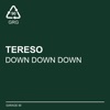 Down Down Down - Single