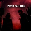 Pinto Bailoteo artwork